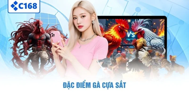 Đặc điểm gà cựa sắt