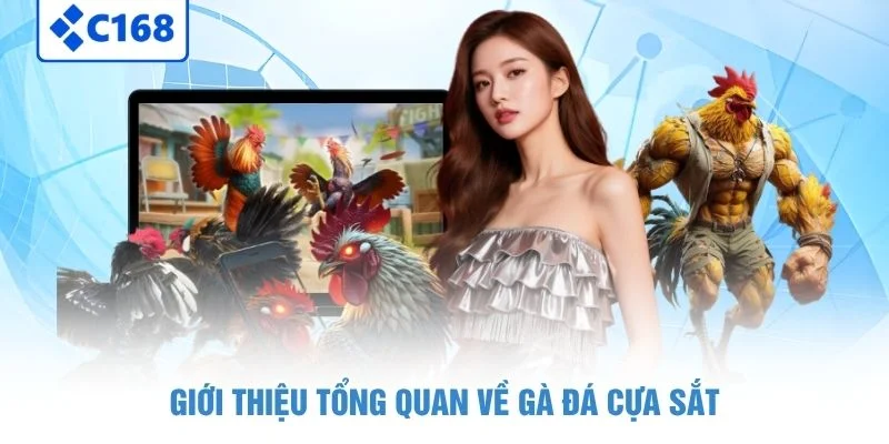 Giới thiệu tổng quan về gà đá cựa sắt