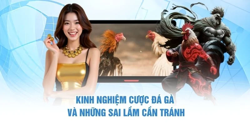 Kinh nghiệm cược đá gà và những sai lầm cần tránh