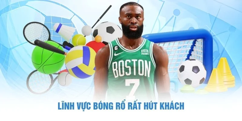 Lĩnh vực bóng rổ rất hút khách
