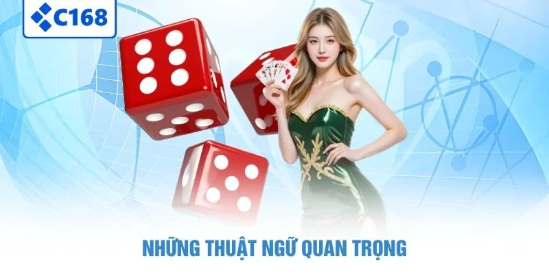 Những thuật ngữ quan trọng