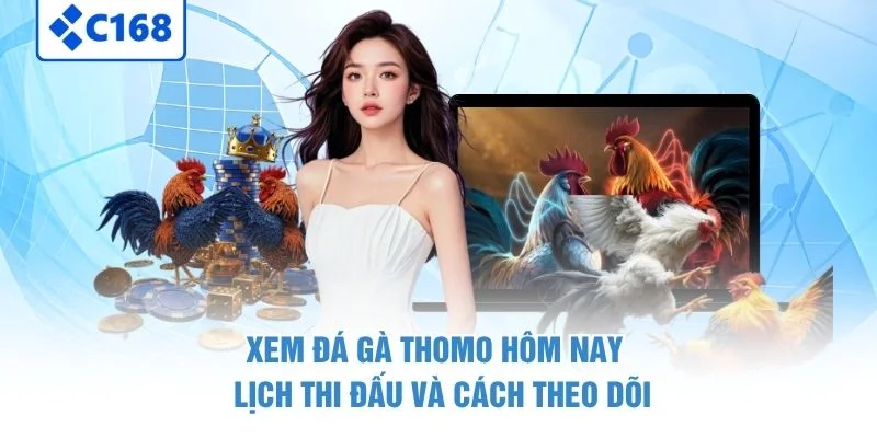 Xem Đá Gà Thomo Hôm Nay – Lịch Thi Đấu Và Cách Theo Dõi 1 Xem Đá Gà Thomo Hôm Nay – Lịch Thi Đấu Và Cách Theo Dõi